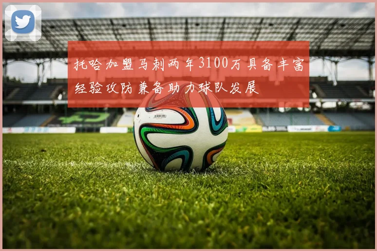 托哈加盟马刺两年3100万具备丰富经验攻防兼备助力球队发展